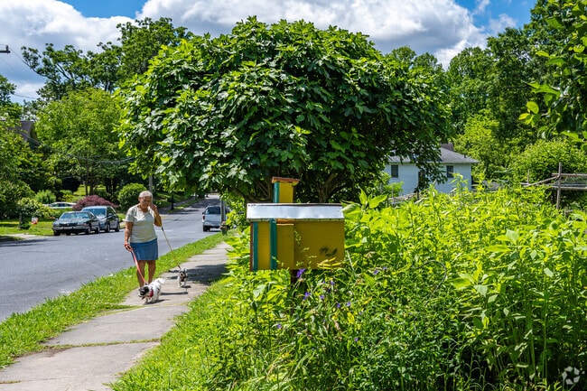 Sidewalks allow for pleasant walks with the dog around Dunleath.