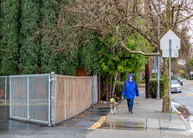 Buena Vista is a dog's friendly neighborhood.