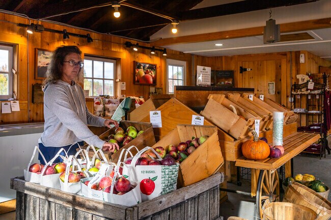 Visit Boothby Farms Market for incredible fresh produce in Livermore.