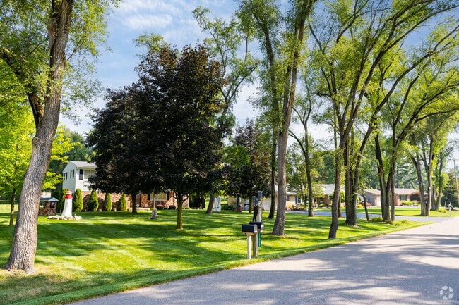 Tree lined streets can be found between South Lyon and Brighton.