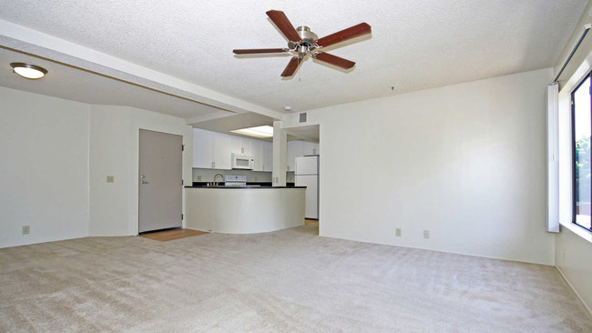 Living and Dining Room
