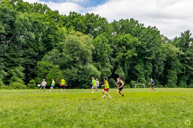 Stratton Local Park is a hotspot for all things ultimate frisbee.
