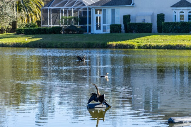 Birds bask in the sun around the ponds of Marsh Creek.