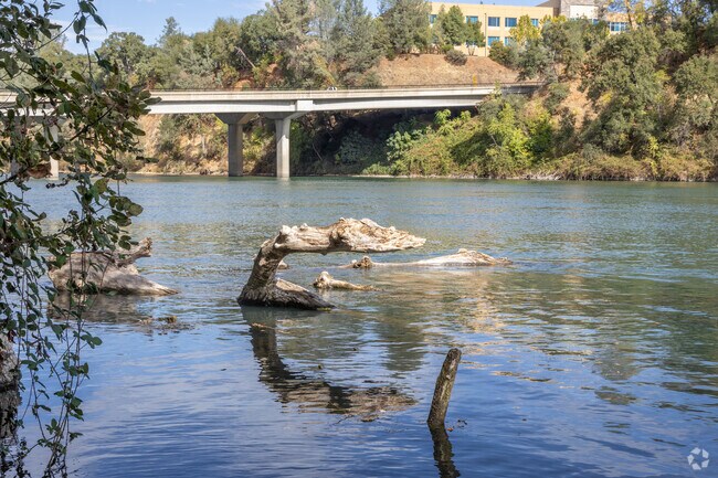 The Sacramento River is a huge part of the South Bechelli neighborhood's identity.