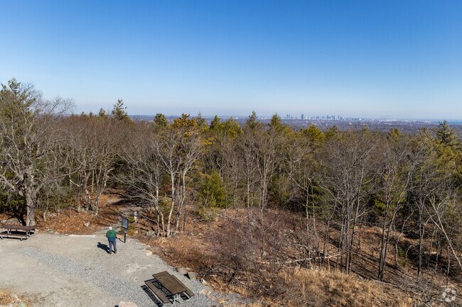 Enjoy a hike along the many trails at Blue Hills Reservation near Brush Hill.