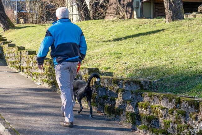 Many residents enjoy the quiet streets of Sandee Palisades neighborhood.