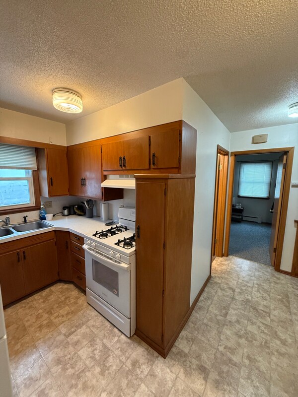 7 11th Ave NW unit 4, Rochester, MN 55901 - photo 7