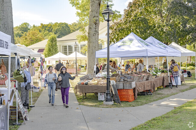 Even though it happens on a weekday, the lunchtime start of the Wilton Farmers Market is busy.