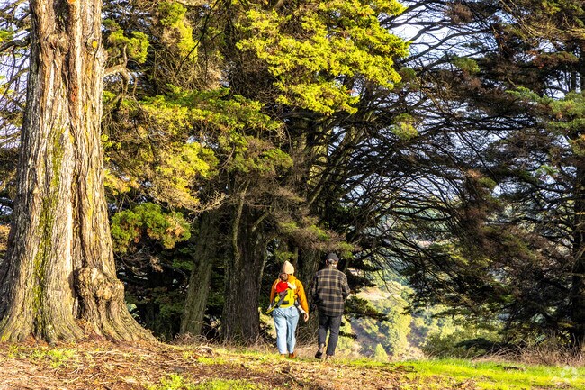 Have a great afternoon with family at Joaquin Miller Park.