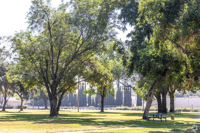 Shady trees at Elmer Digneo Park near Riverside offer relief from the California sun.