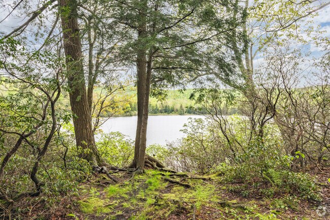 South Pond in Savoy is part of the Savoy Mountain State Forest and offers camping, fishing, boating, and hiking.