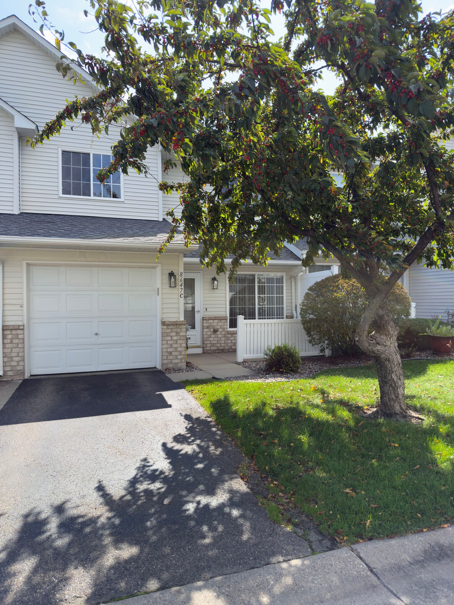 8647 Quarry Ridge Ln, Woodbury, MN 55125 - photo 1