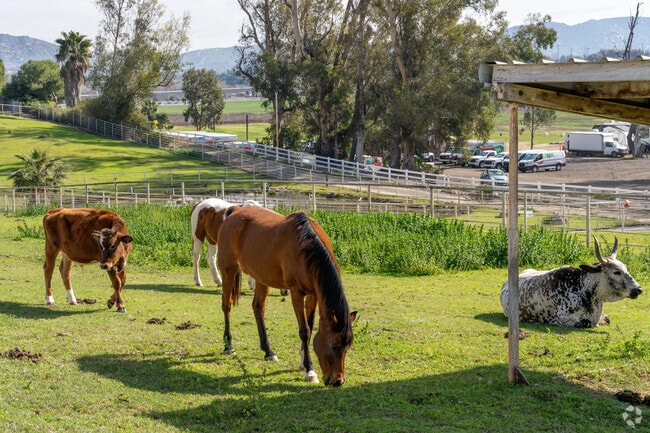 You might see some farm life while driving through the community of Eastvale.