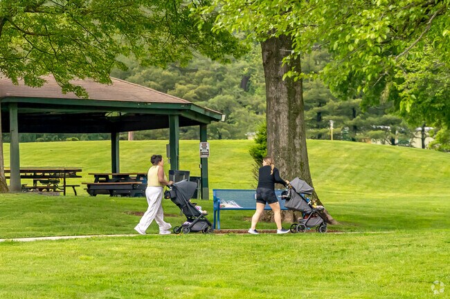 Morning walks under lush tree canopies make Pickell Park a favorite gathering place for young families and their little ones.