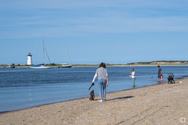 The beach by the Chappy Ferry is a perfect place to walk the dog.