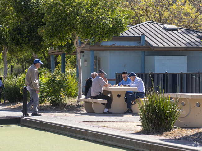 A group of friends playing chess at Almaden Lake Park near the Dartmouth area.