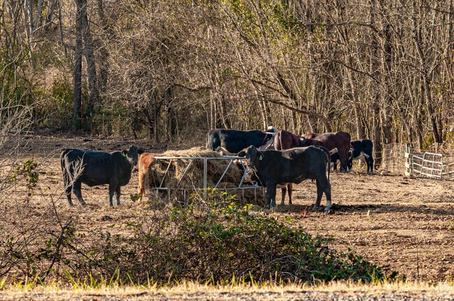 The residents of Victoria are enjoying an early dinner.