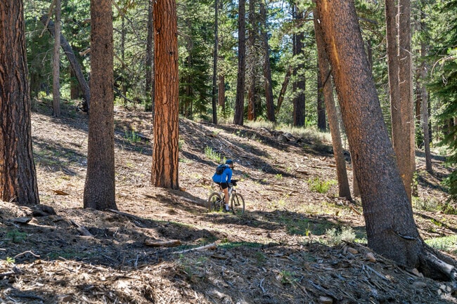 Prosser Lake Heights connects to many areas of Truckee by dirt trails and mountain bikes.