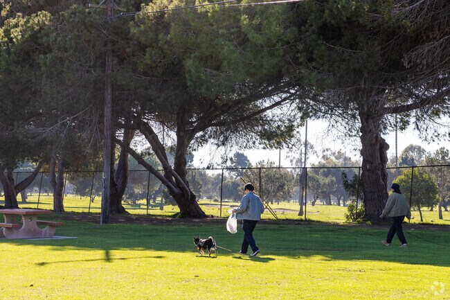 Walk dogs through Alondra Park in Lawndale, CA.