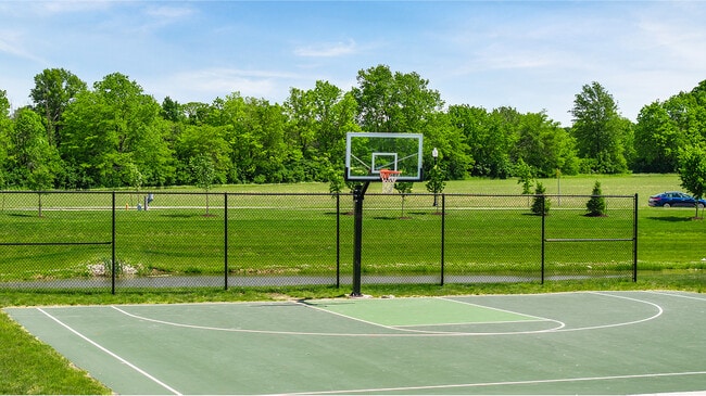 Carnegie Crossing Amenity Basketball Court