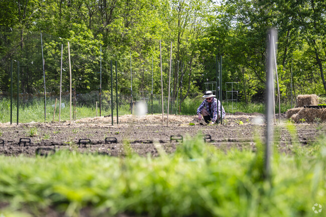 Project Grow Community Gardens has a large garden in the Vernon Downs neighborhood.