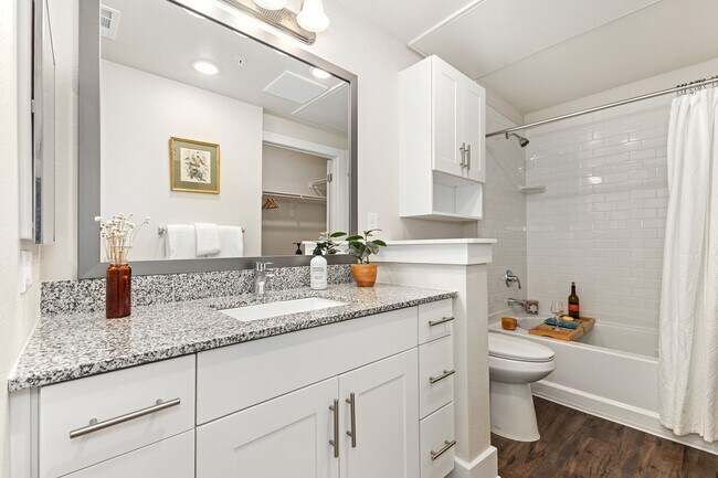 Mariposa Communications Parkway 55+ Apartment Homes, Plano, TX 75024 - photo 6