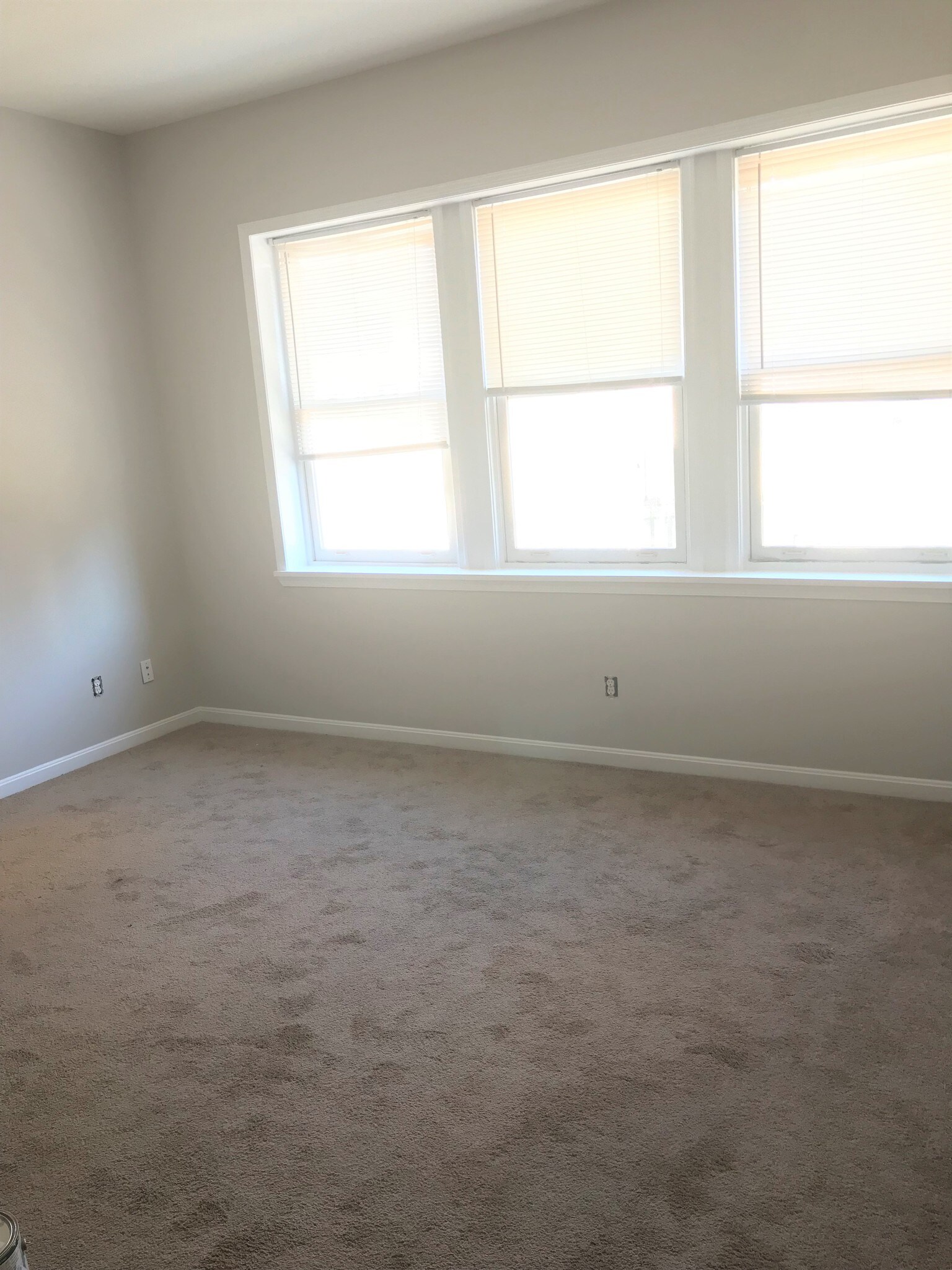 514 Saint Paul St unit C, Baltimore, MD 21202 - photo 1