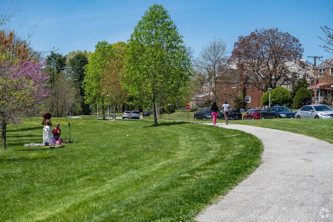 Herring Run Park in Mayfield has 375 acres to explore.