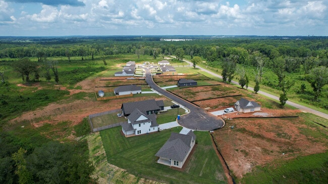 Camellia Drone-5.jpg