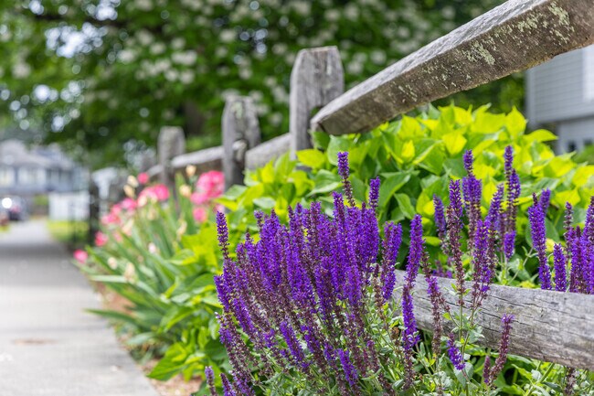 Beautiful flowers and foliage line the sidewalks around the East Side neighborhood.