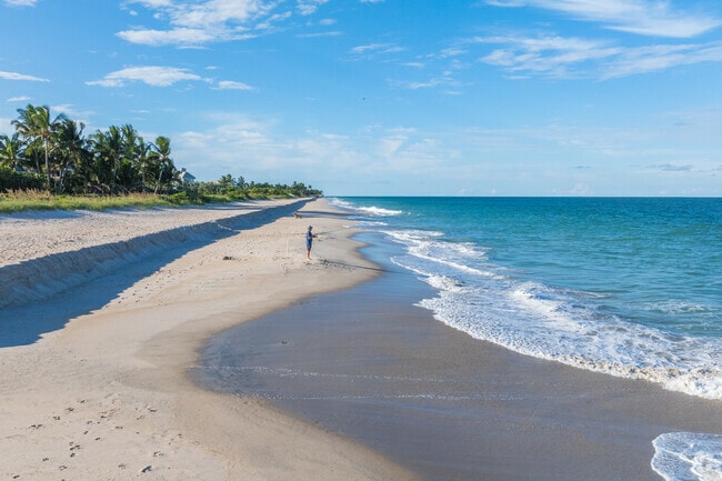 Fish at the beach in South Beach, a popular spot for anglers enjoying the scenic shoreline.