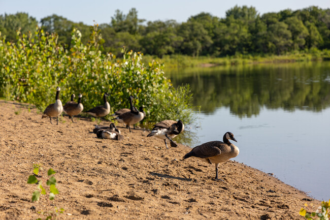 Doe's is surrounded by green space and wildlife.