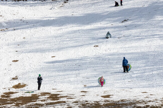 Kids from Buckley District head to the slopes of Center Springs park whenever it snows.