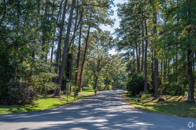 Open streets, no sidewalks, and treelined lots define the charm of Willow Oaks Neighborhood.