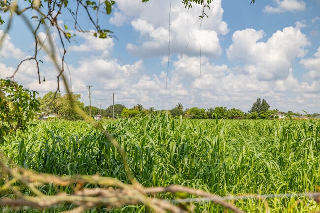 Residents can use their land to grow crops in the city of Homestead.