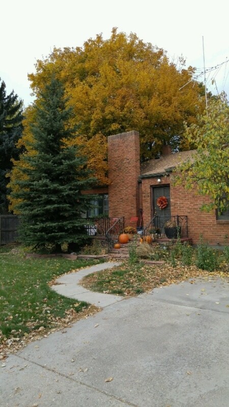 317 S Shields St Unit 317 1/2, Fort Collins, CO 80521