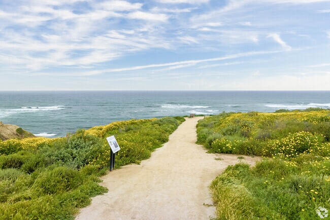 A look at Sunset Cliffs Natural Park in full bloom.
