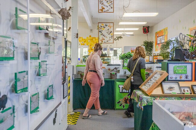 Come learn some bug facts at the Bug & Reptile Museum in Navy Yard City Bremerton.