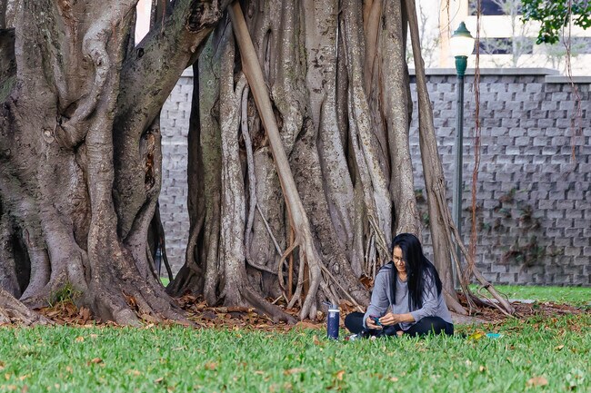 A Pineapple Park local enjoying the grassy area in Howard park.