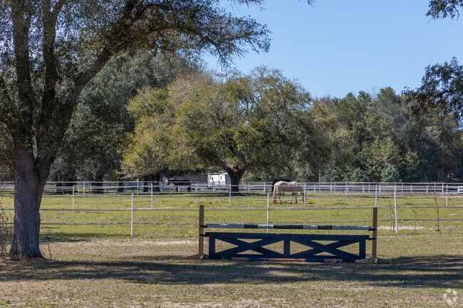 East Milton is a beautiful and unique community with horses and trails throughout.