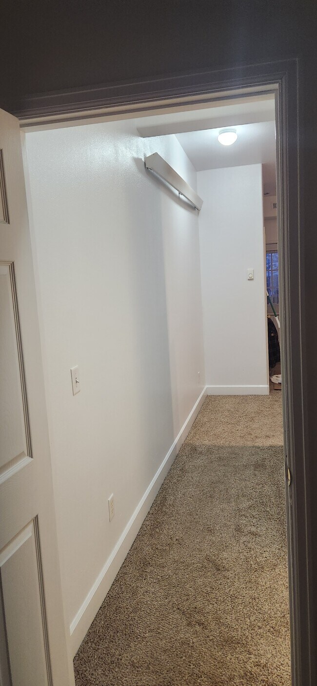 481 3rd St unit 2-3, Silverthorne, CO 80498 - photo 6