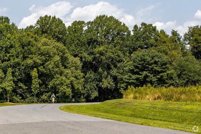 Burtonsville Local Park is a great place for an afternoon walk.