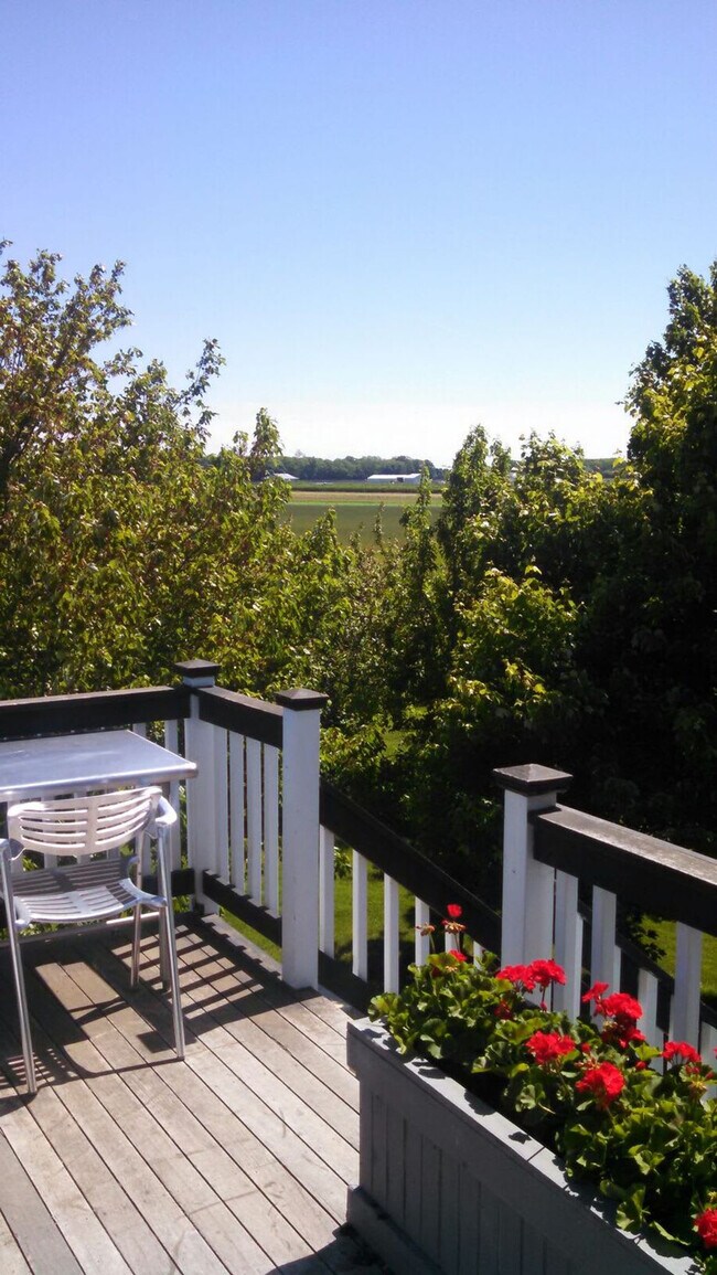 7470 Sound Ave unit ID1261530P, Mattituck, NY 11952 - photo 7