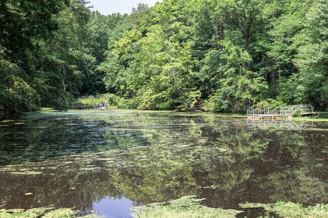 Pohick Creek Stream Valley Park in Newington follows Pohick Creek for miles.
