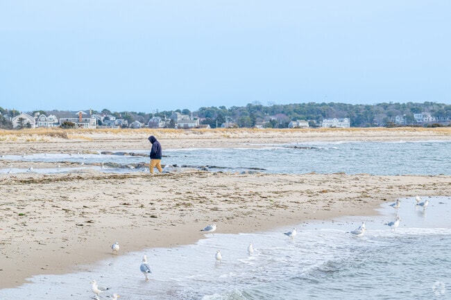 Forest Beach is one of South Chatham’s Nantucket Sound beaches.
