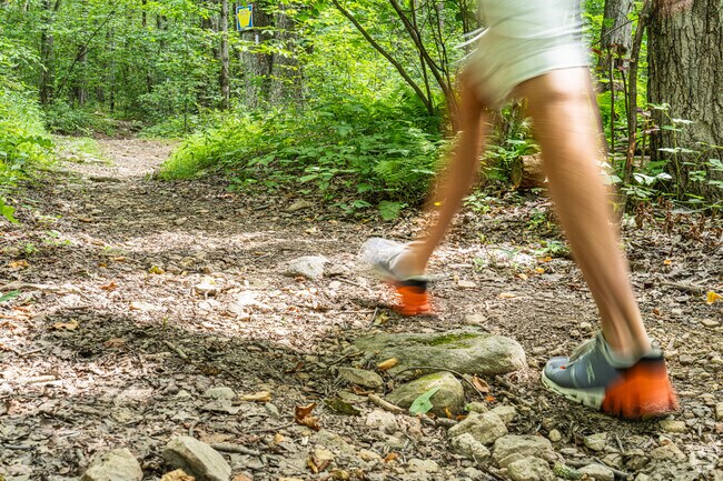 Hikers breathe the mountain air on the Appalachian Trail.