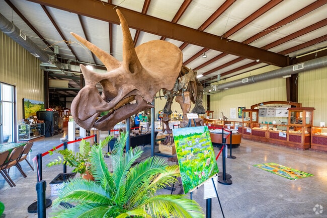 The Missouri Natural History Museum in Southwest Springfield is home to a large triceratops.