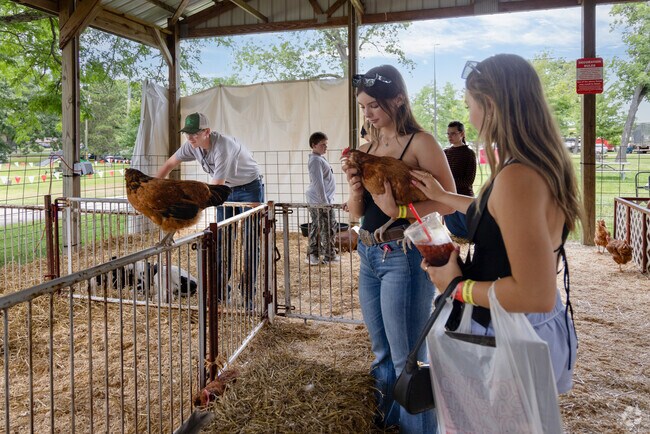 Summer fun unfolds at the Racine County Fair at Old Settlers Park.