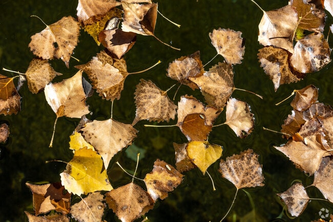 Saint David is unique to Arizona with lots of water from nearby underground lakes.