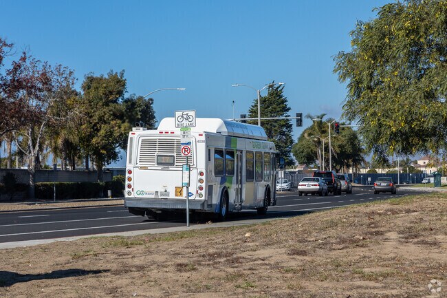 Public transportation in Cypress Gardens is available and on time, so check the route.